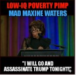 MaxineWatersAssassinateTrump.JPG