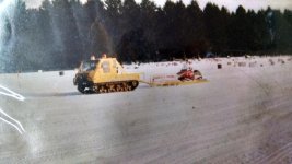 old groomer pics.  m29 008.jpg