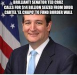 TedCruzSuggestionForWallFunds.JPG