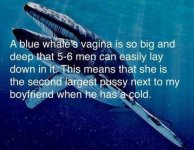 BlueWhalesVagina.jpg