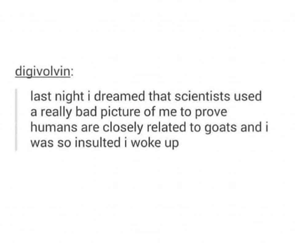 1000032641.jpg
