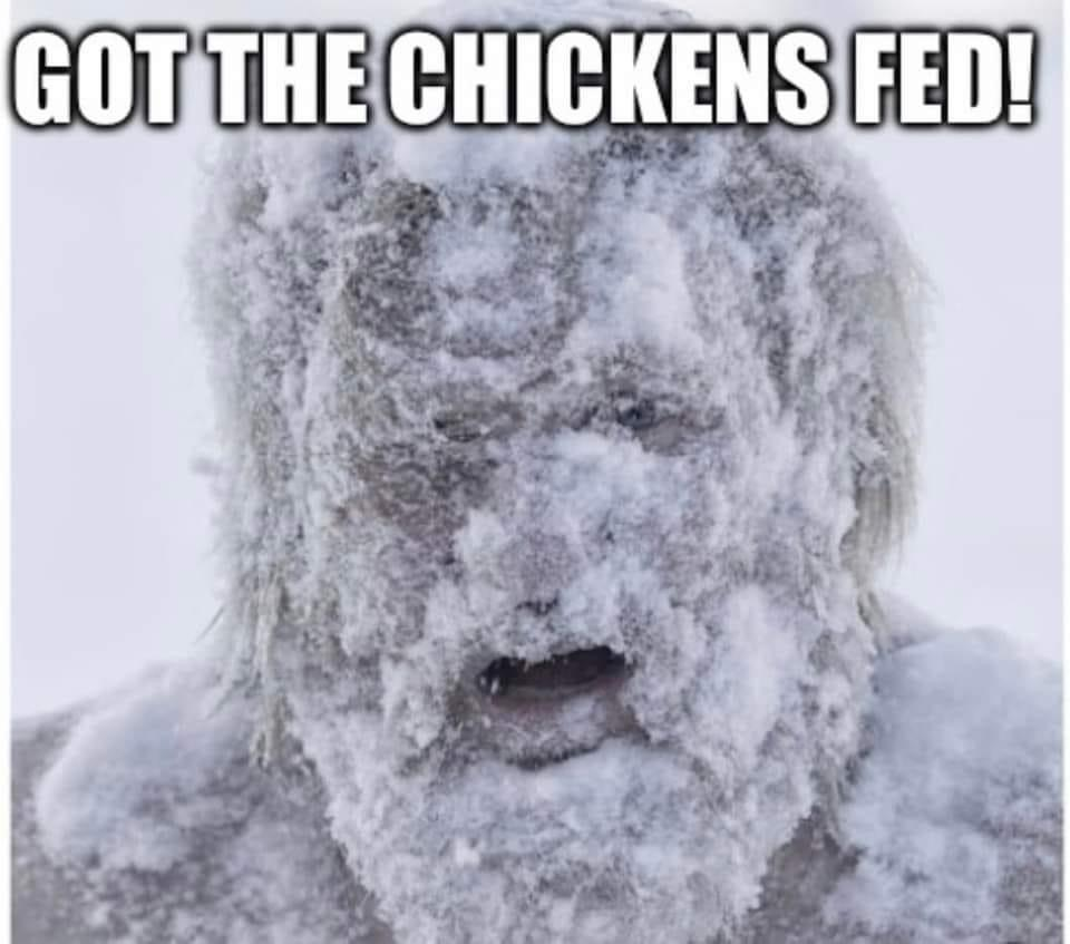 1671894081753.png