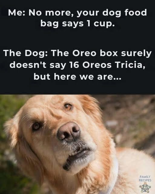1744897685741.png