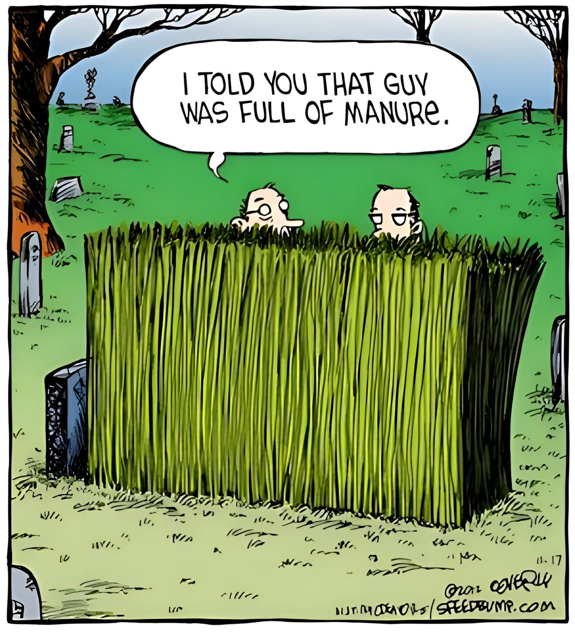 1747251275271.png