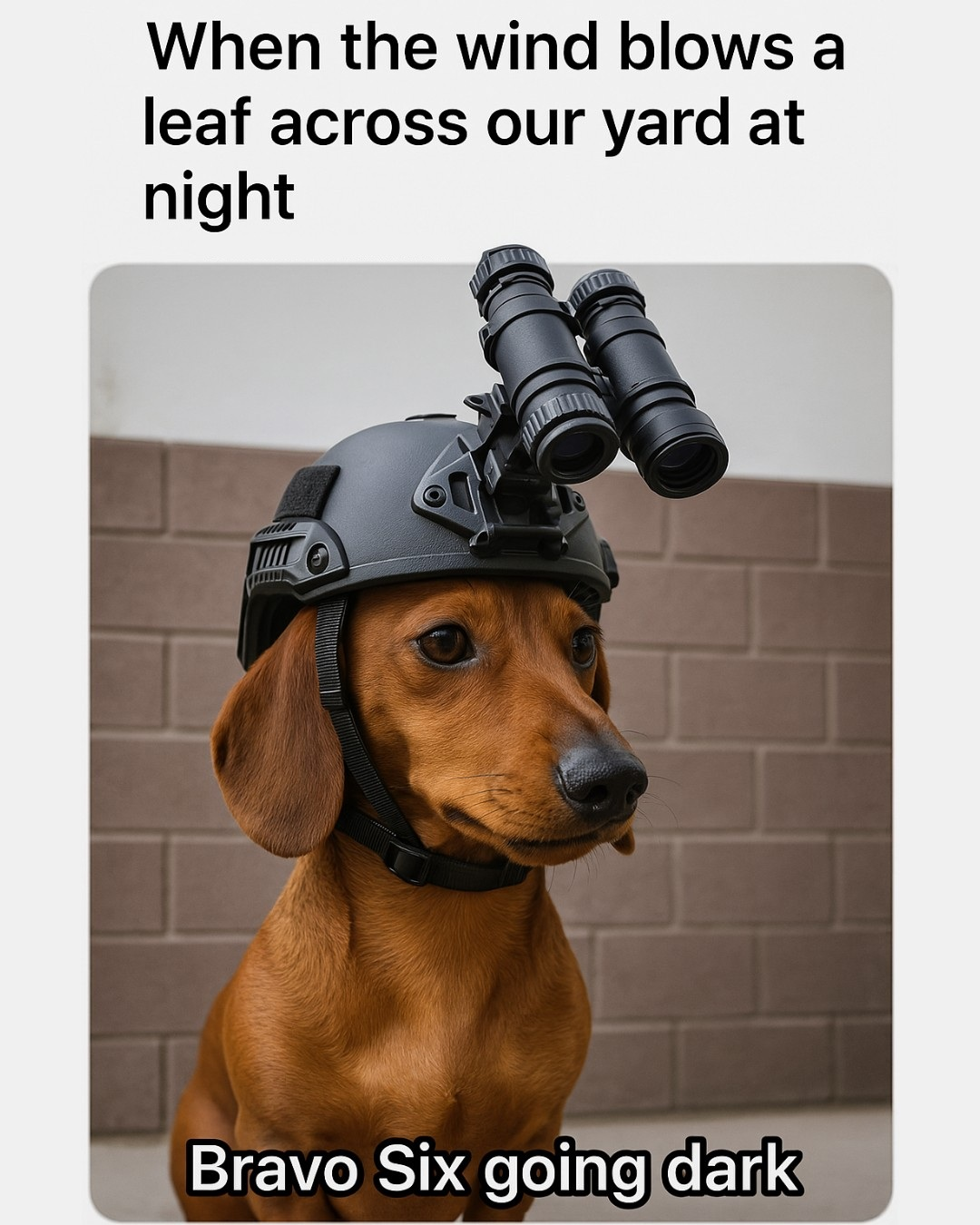 1747251349097.png