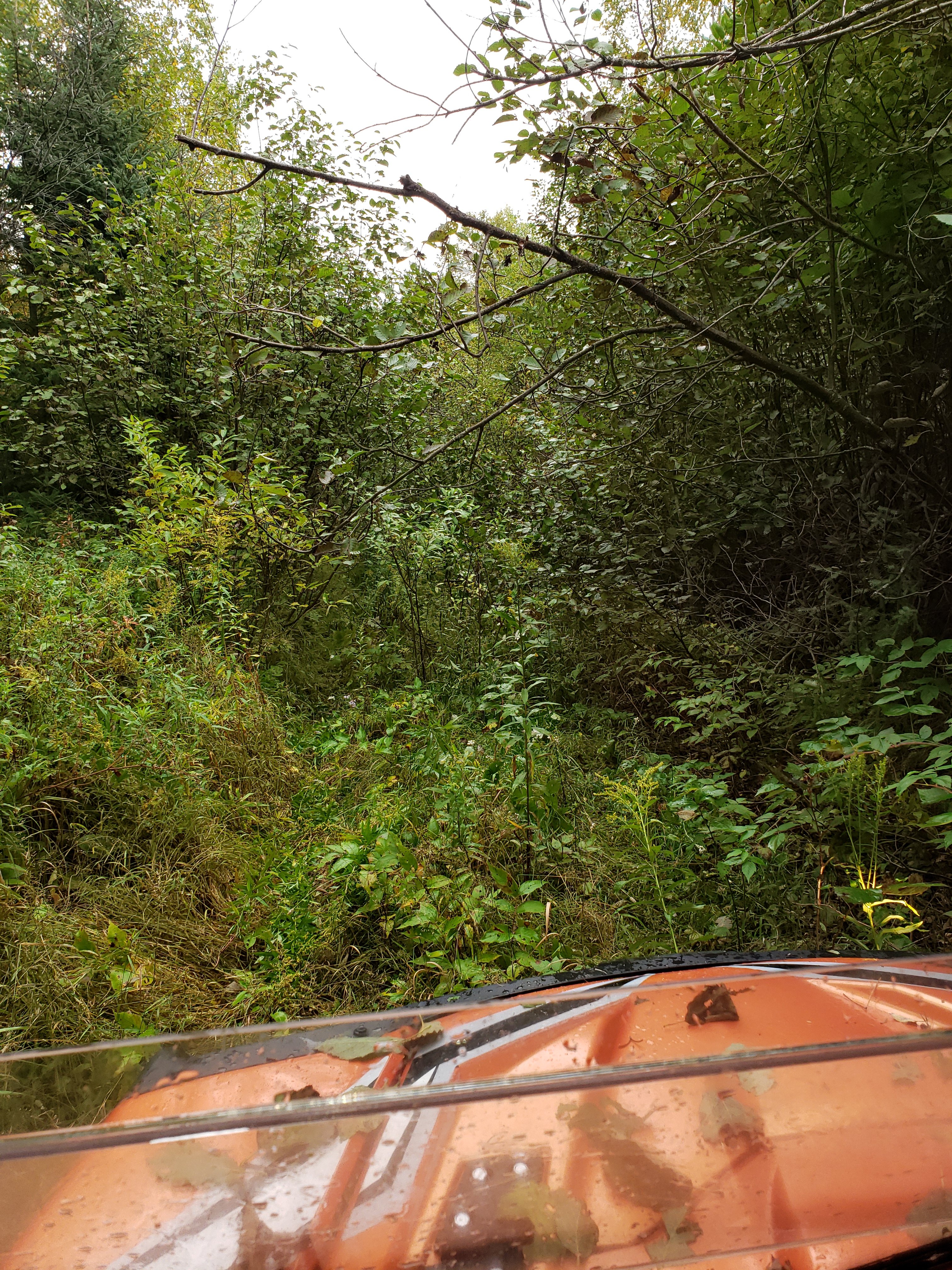 20200915_095611.jpg