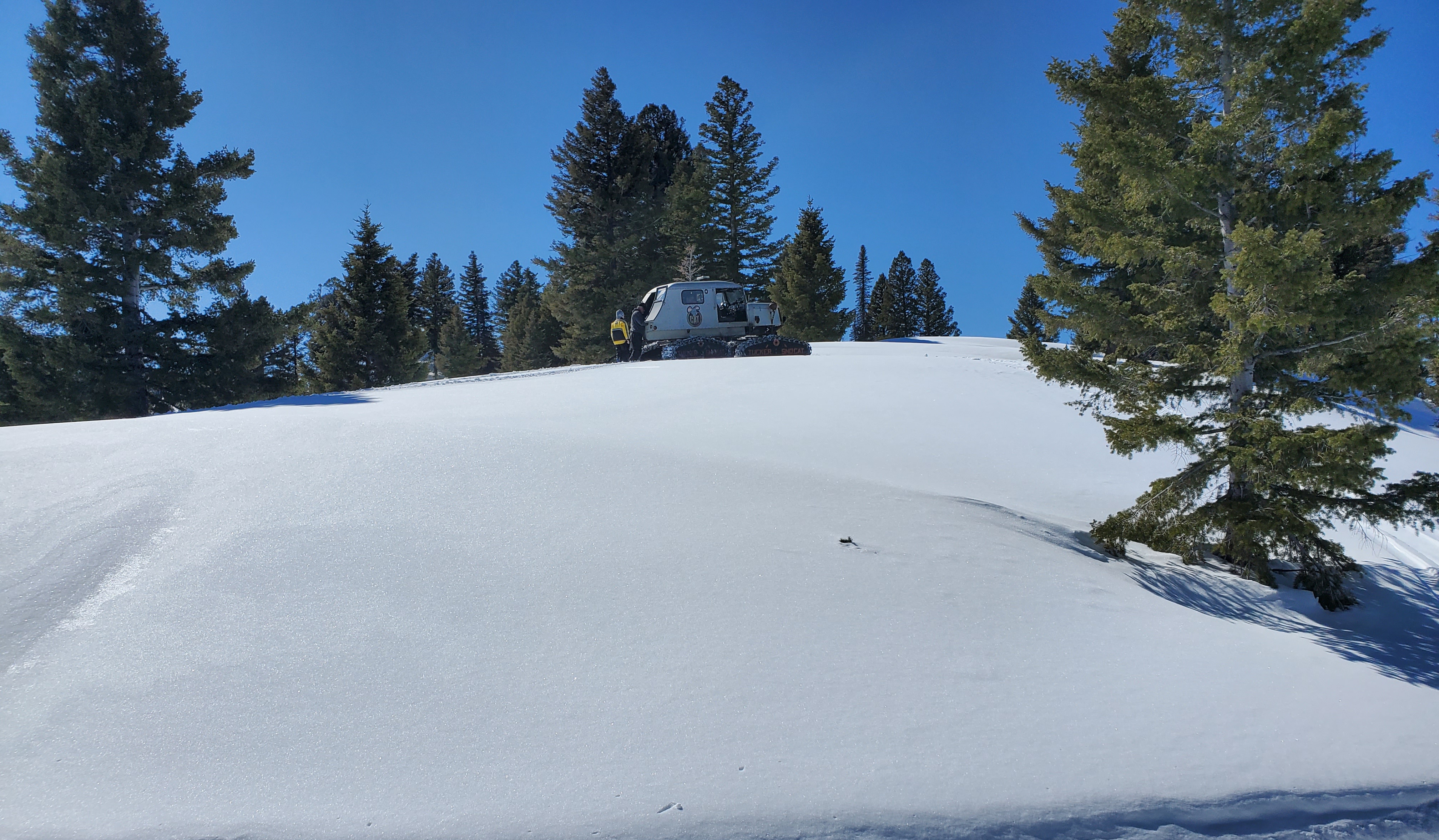20210312_132837.jpg