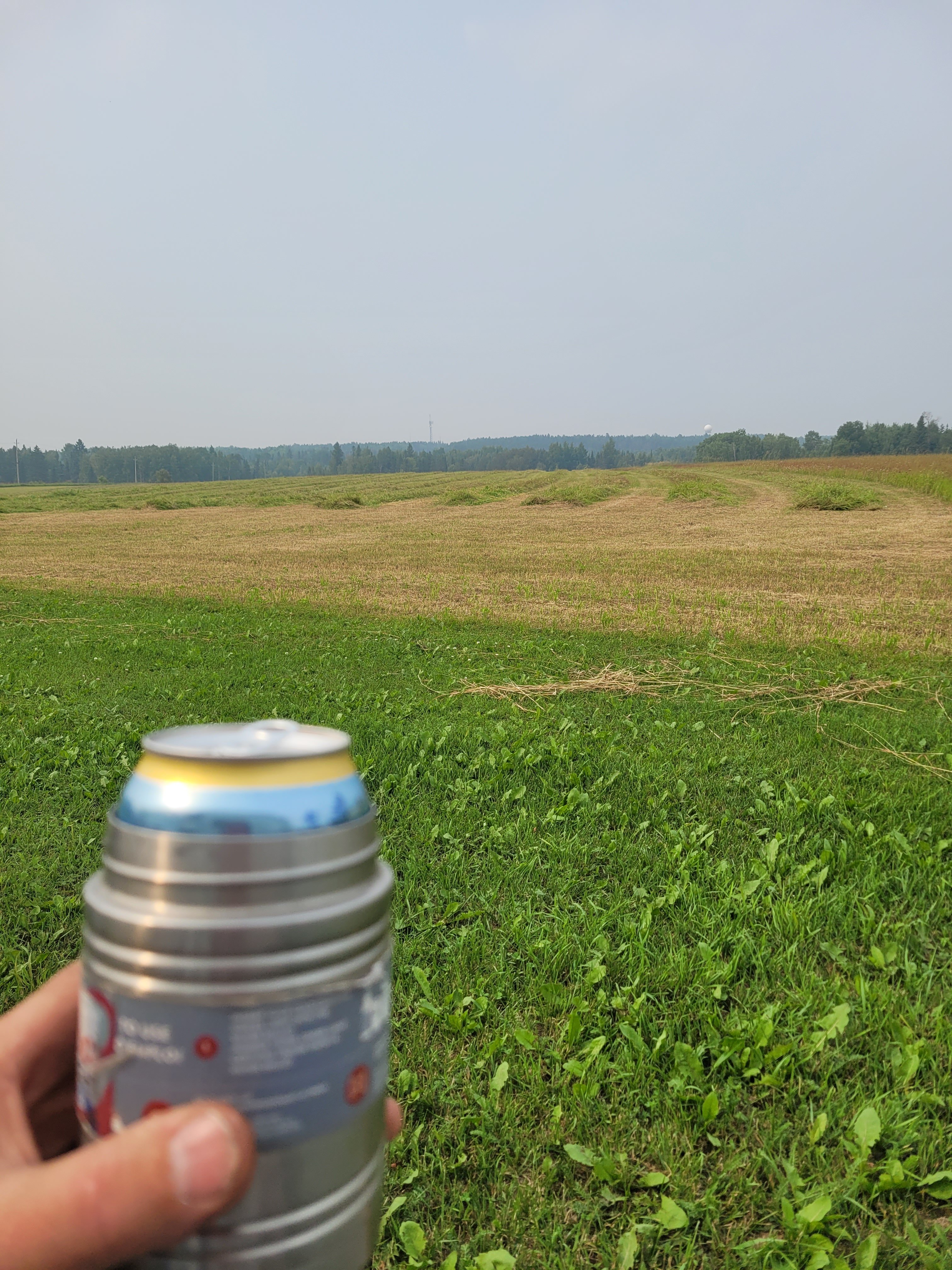 20250723_162155.jpg