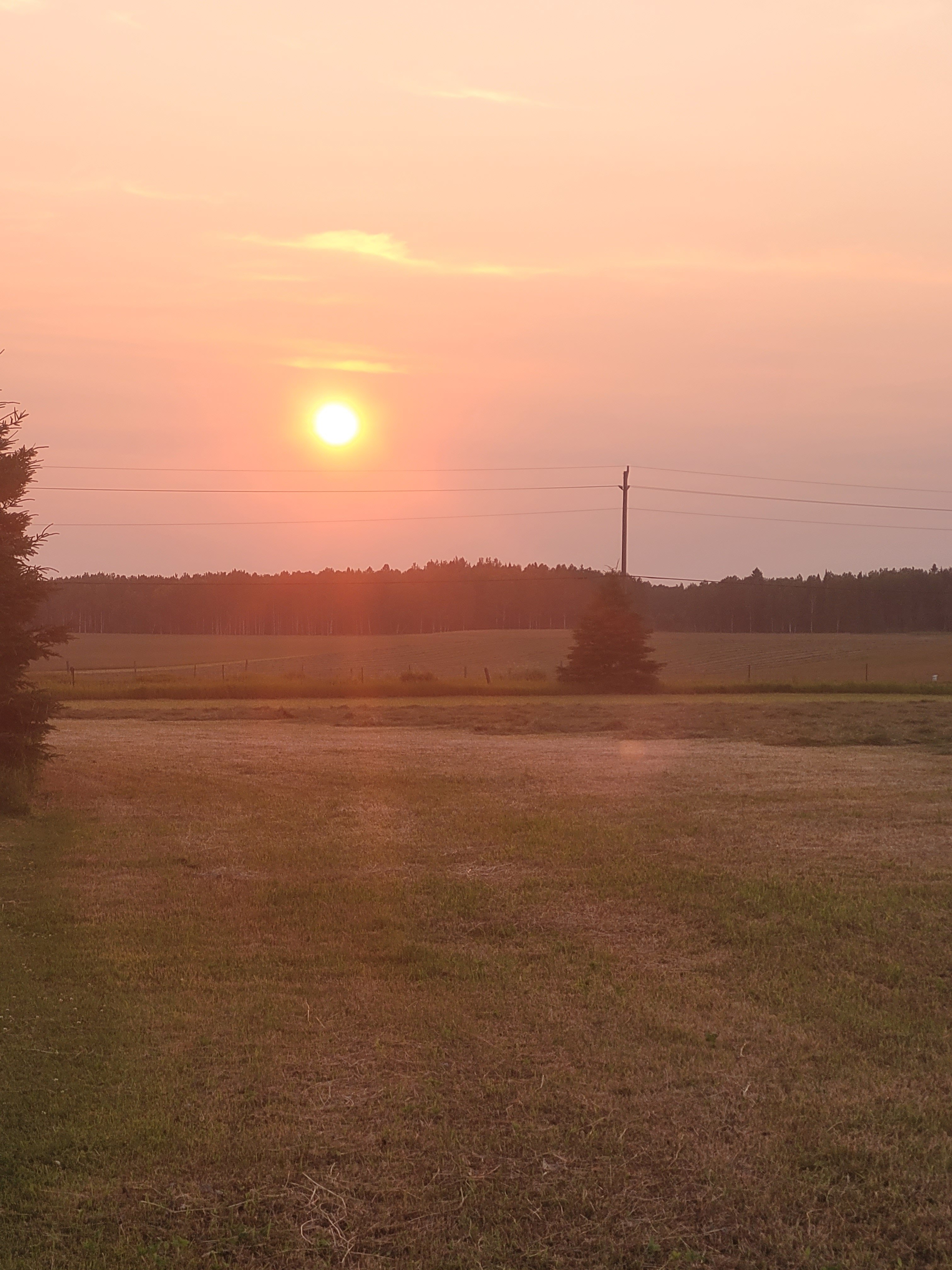 20250723_203448.jpg