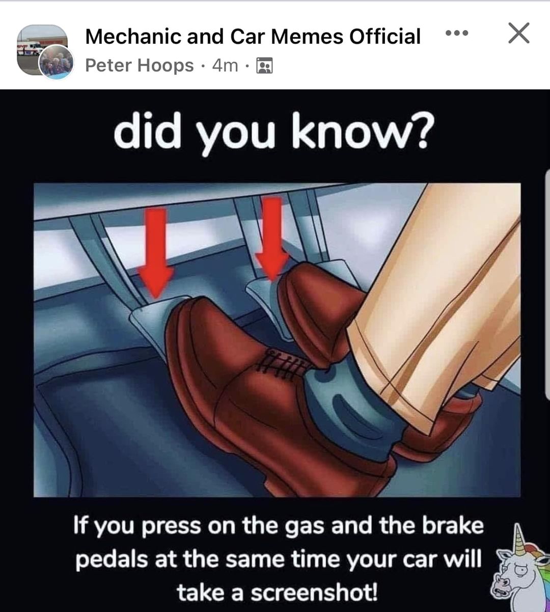 362273366_594014906240855_3009582631481651463_n.jpg