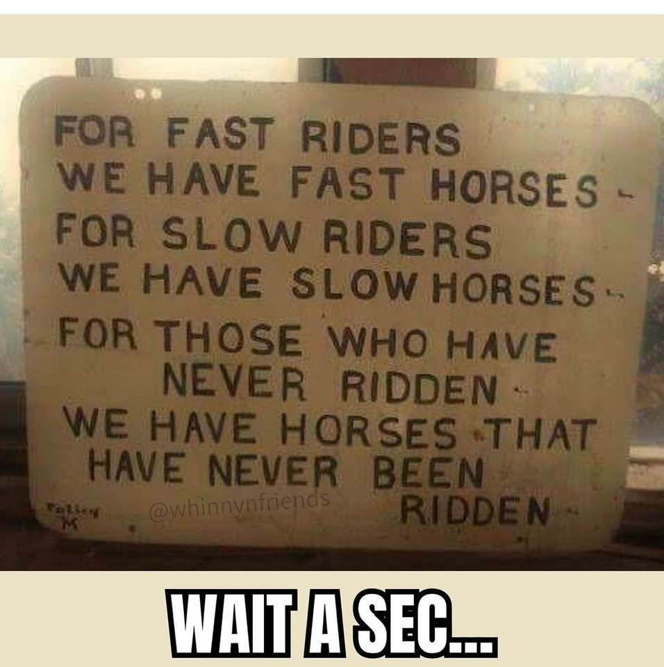 416296377_890483289743970_4300882945476691655_n.jpg