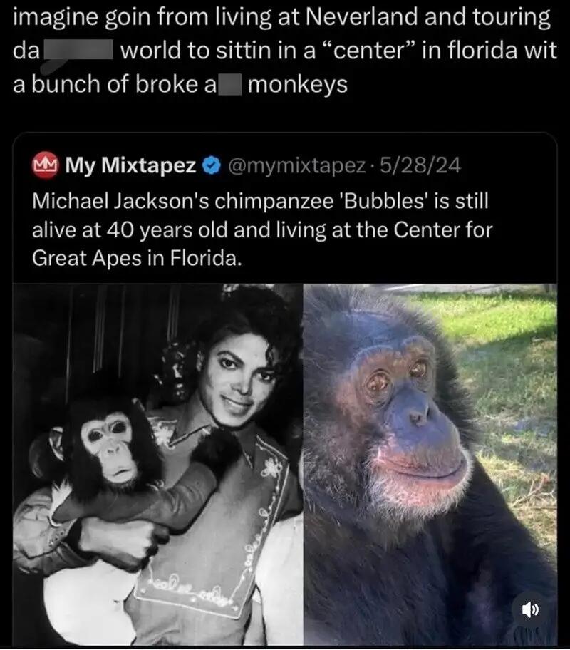 brokebuttmonkeys.jpg