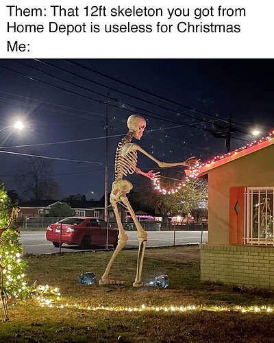 Christmasskeleton.jpeg