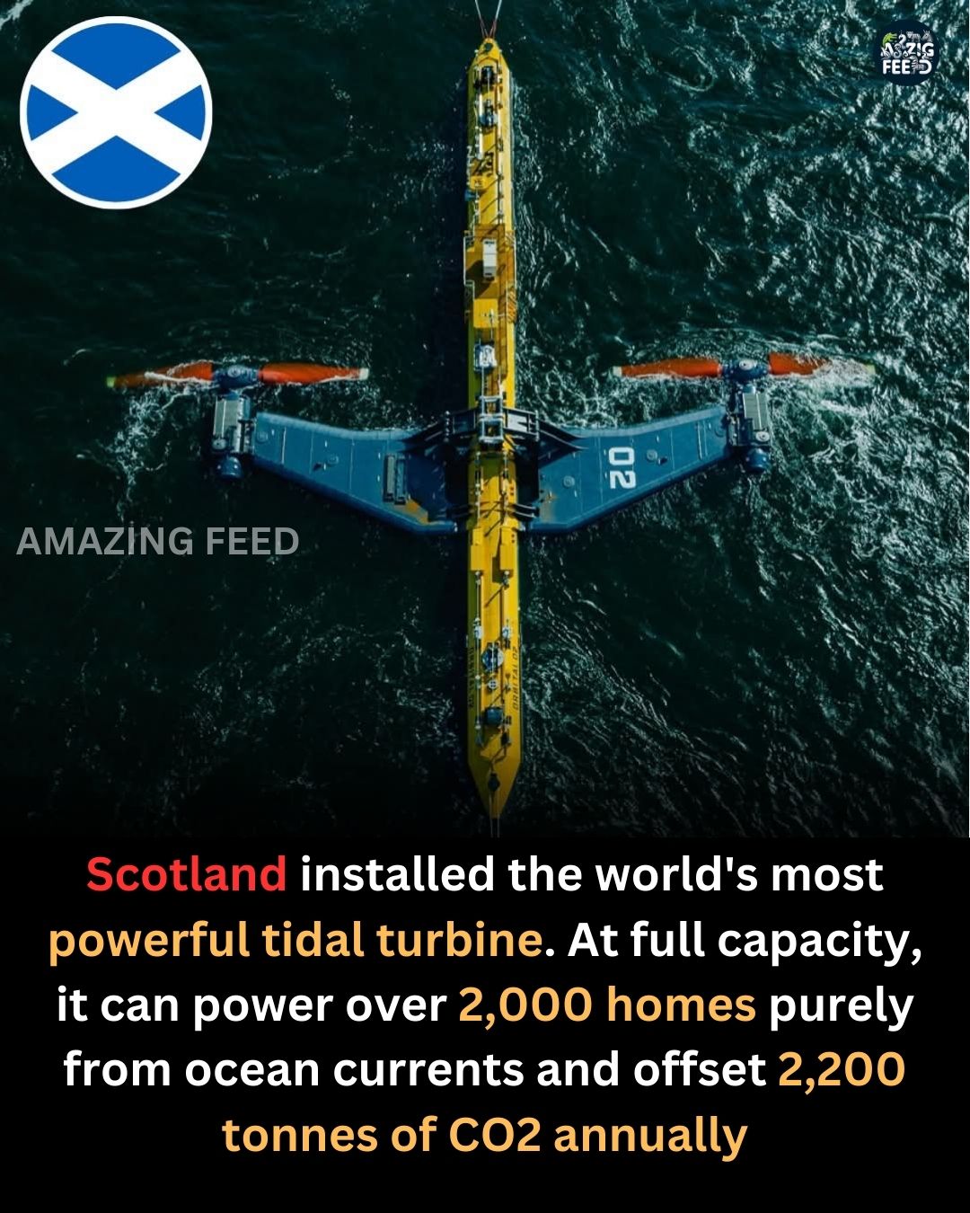DYK932.jpg