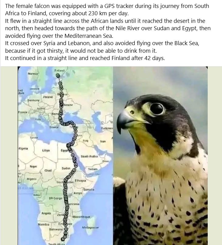 DYK961.JPG