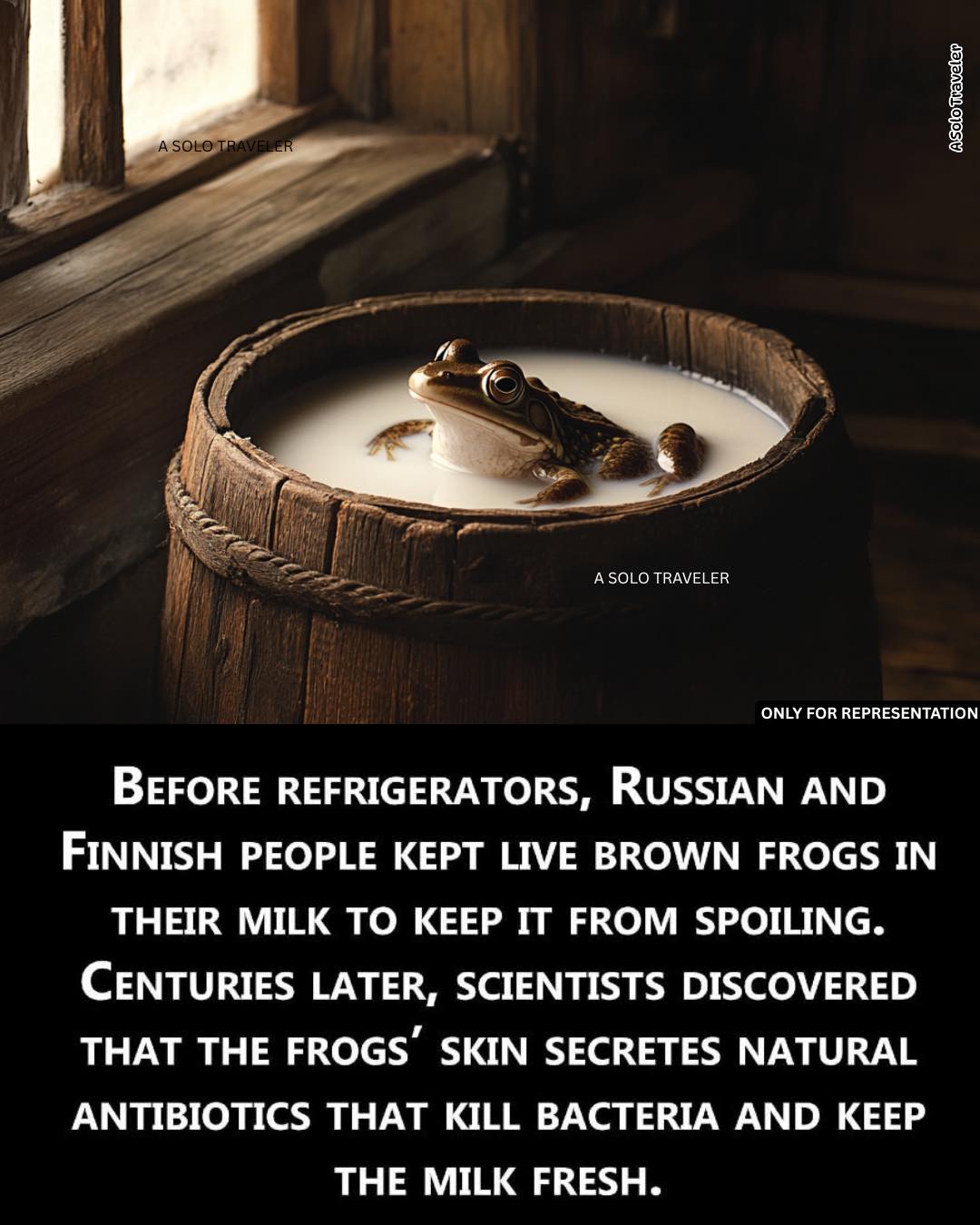 DYK963.jpg
