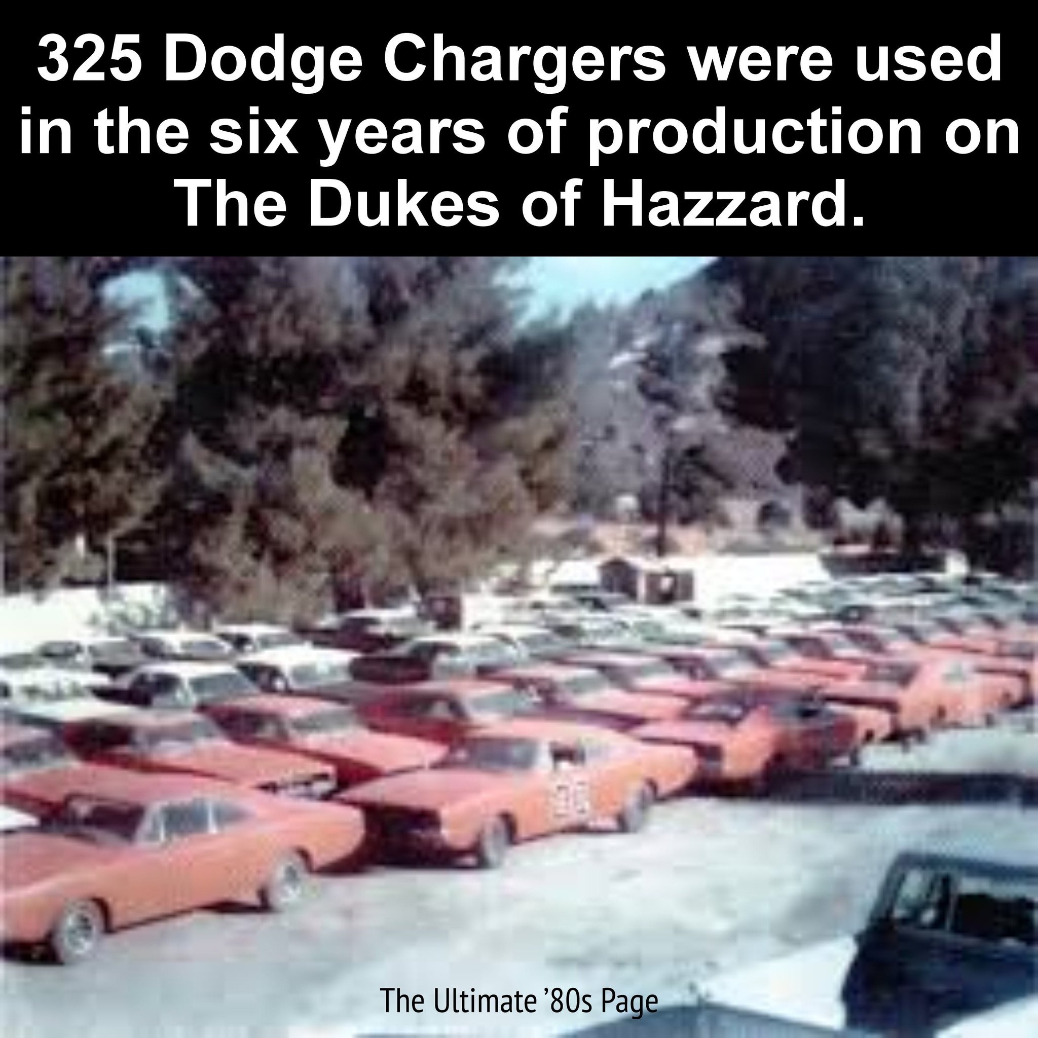 DYK966.jpg