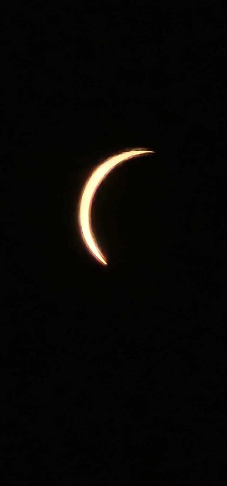 EclipseApril0825-5.jpg
