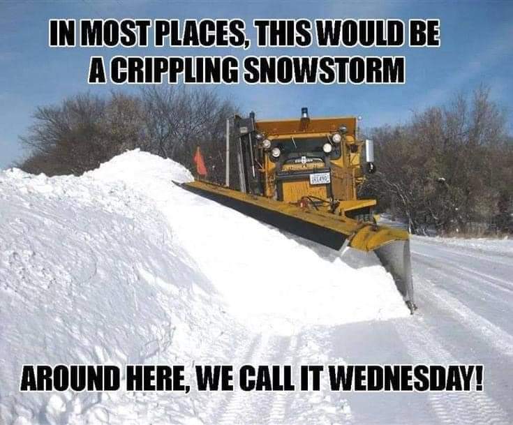 FB_IMG_1648072542166.jpg