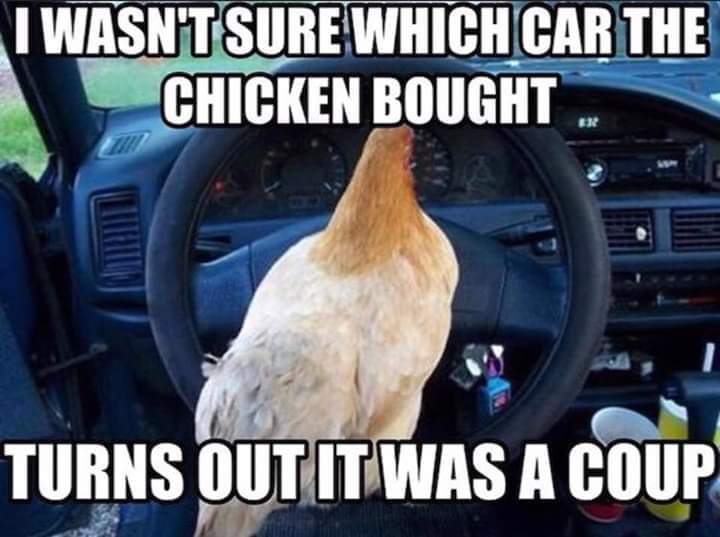 FB_IMG_1716307449194.jpg