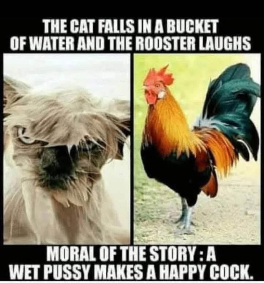 FB_IMG_1747221098779.jpg