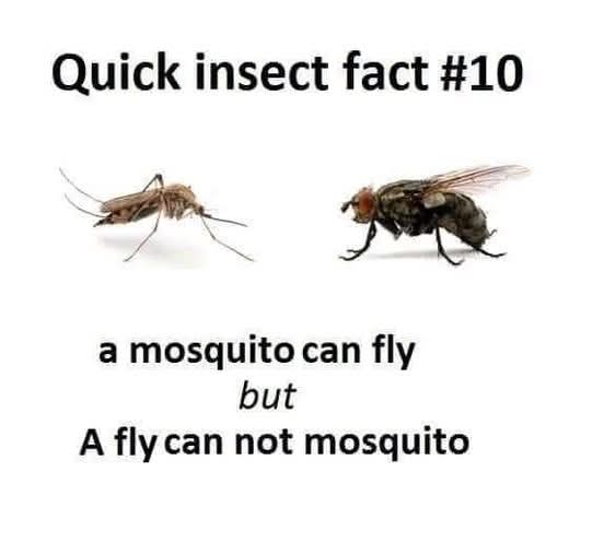 FB_IMG_1751540774460.jpg