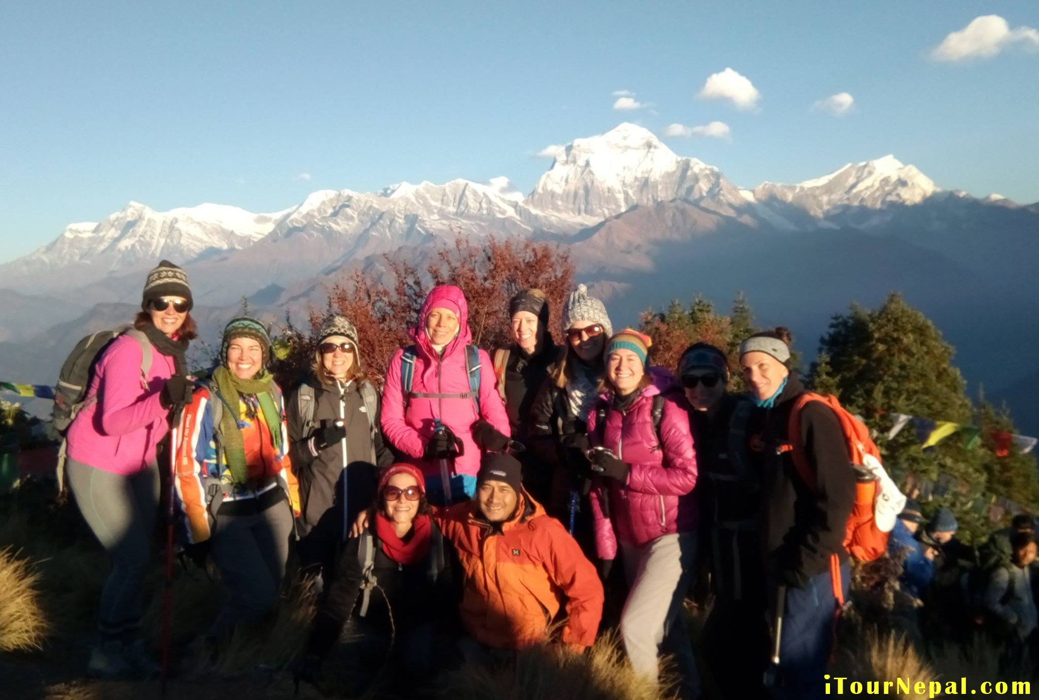 ghorepani-poonhill-trek.jpg