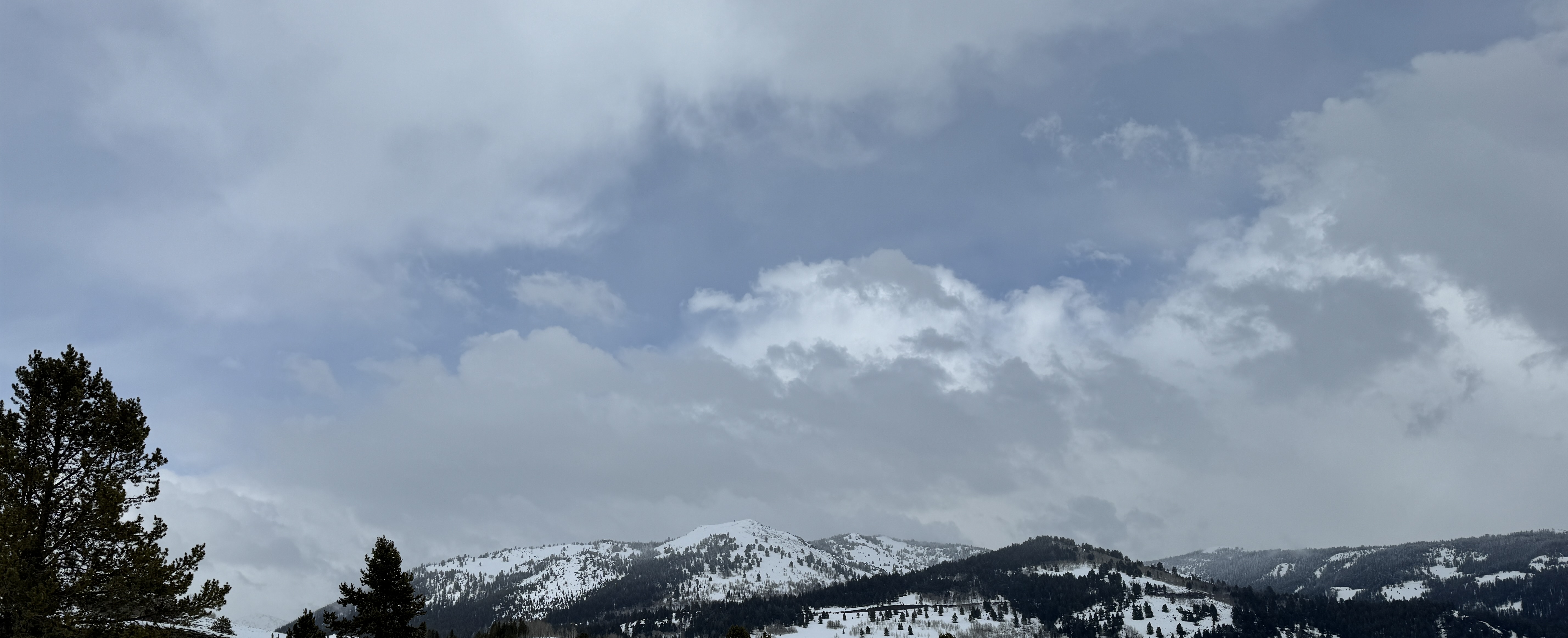 IMG_3522.jpeg