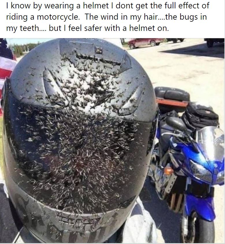 MotorcycleMemes4.JPG