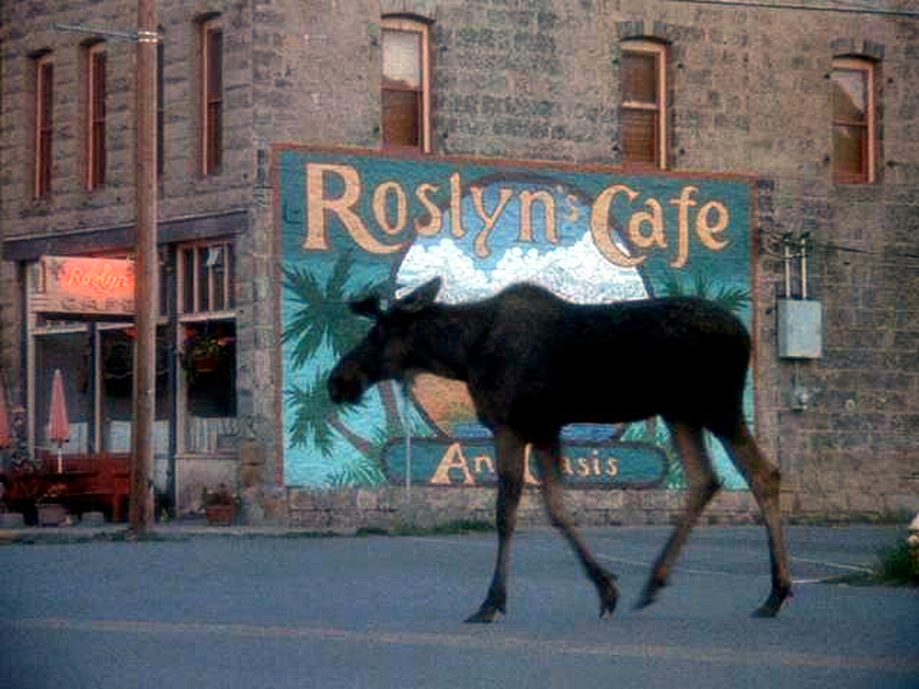 Northern-Exposure_Moose.jpg