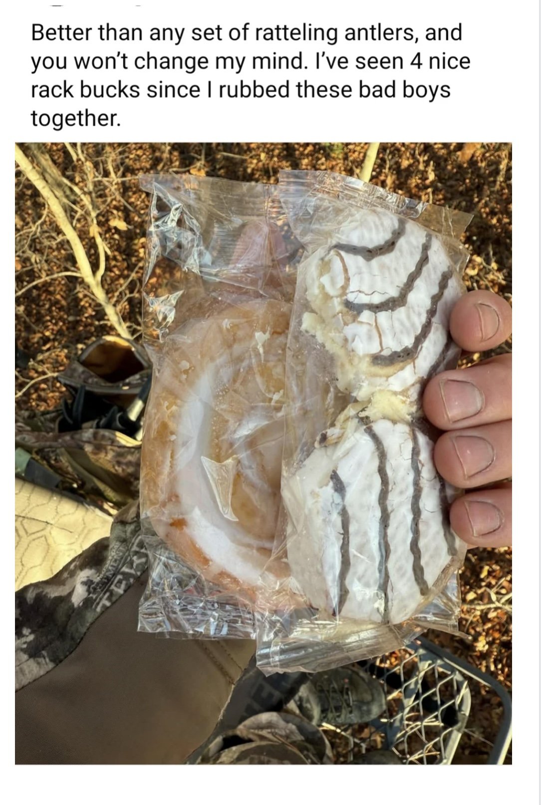 rattlingantlers.jpeg