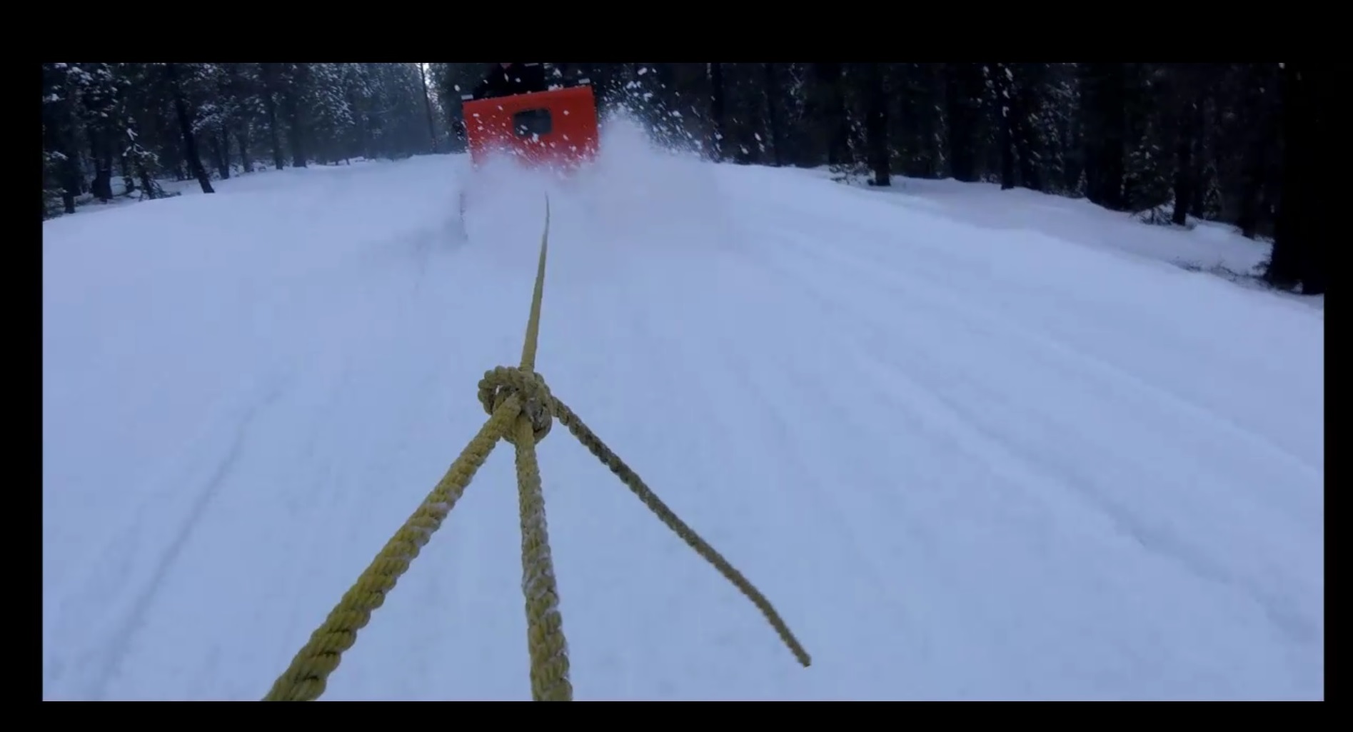 SNOW4.jpg