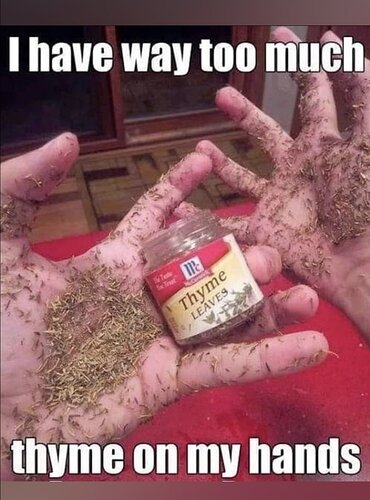 thymeonmyhands.jpeg
