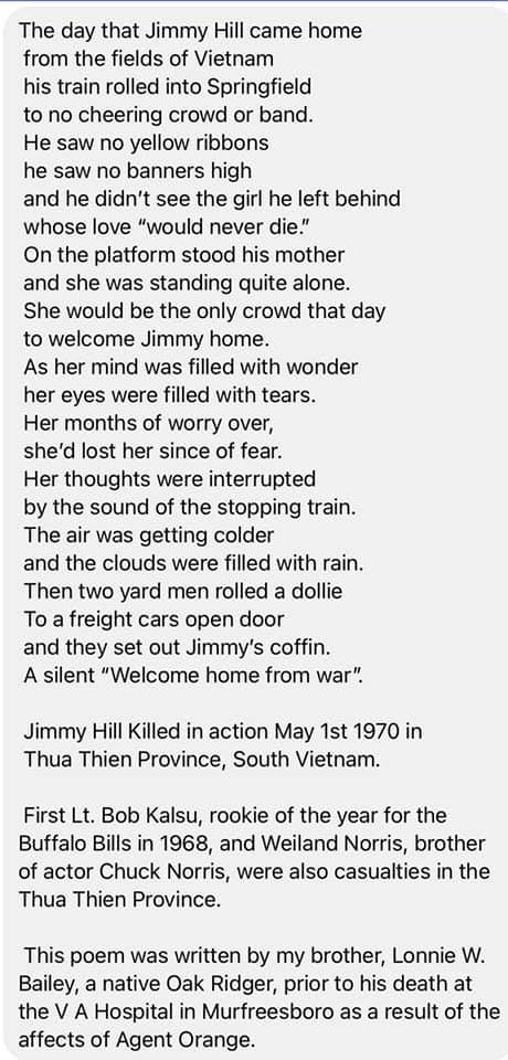 VietnamVetPoem.jpg