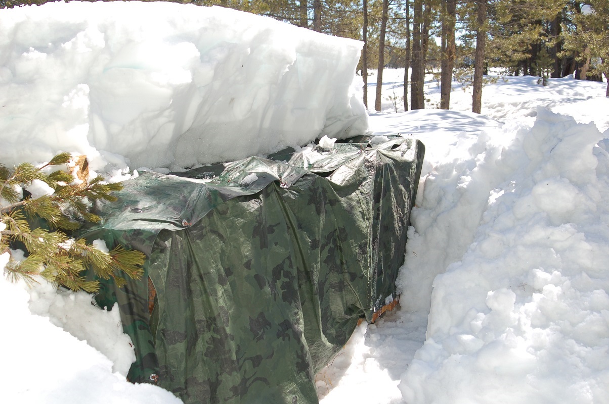 winter wood pile.jpg