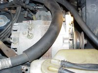 alternator.jpg