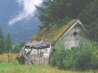 Shed in Field2.jpg