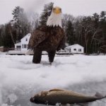 Eagle 1 20190319_221758.jpg