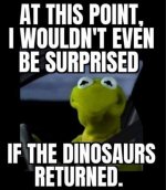 FB_IMG_1598921294214.jpg
