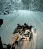 Sunup grooming on Pine loop.jpg