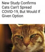 funny126.jpg