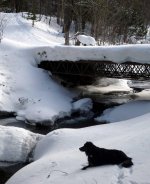 NG bridge deep snow (DL).jpg