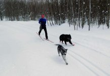 river trail sandy.jpg