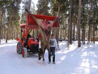 PB120020 elk 5.JPG