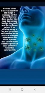 CoronaVirusAdvice.jpg
