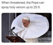 Funny pope_1578848654971.jpg