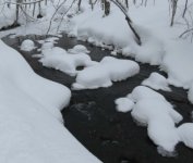 creeksnowfeb8.jpg