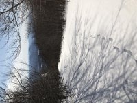 IMG_1731.jpg
