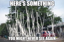 Screen Shot 2020-04-05 at 6.38.50 AM.jpg