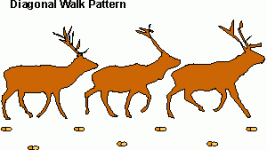 diagonal-walker (1).gif